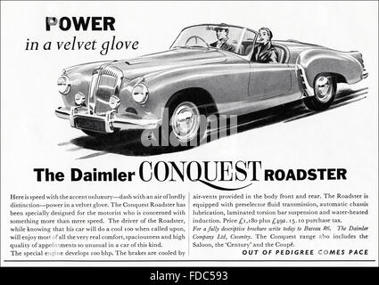 Original vintage advert from 1950s. Advertisement from 1954 advertising the new Daimler Conquest Roadster car. Stock Photo