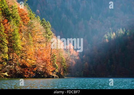 Colourful autumn forest with autumn leaves on the shore of Lake Königssee in Berchtesgaden National Park,Bavaria,Germany Stock Photo