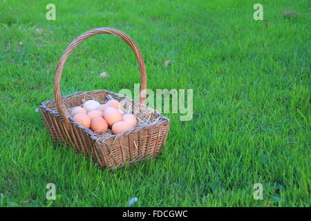 organic eggs in a basket Stock Photo