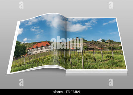 The vineyards, Bismarck Tower, Spitz House and Castle Hofloessnitz is in the foreground, Radebeul near Dresden, Saxony, Germany Stock Photo