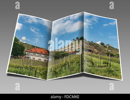 The vineyards, Bismarck Tower, Spitz House and Castle Hofloessnitz is in the foreground, Radebeul near Dresden, Saxony, Germany Stock Photo