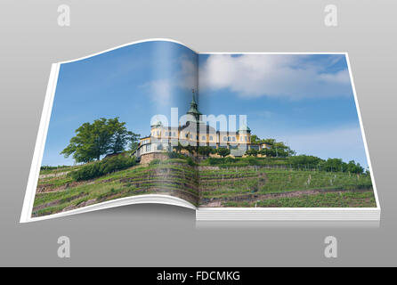 The Spitzhause is a former summer house in the wine-growing area of Radebeul near Dresden, Saxony, Germany, Europe Stock Photo