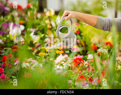 http://l450v.alamy.com/450v/fdcn34/beautiful-mature-woman-in-a-garden-watering-flowers-fdcn34.jpg