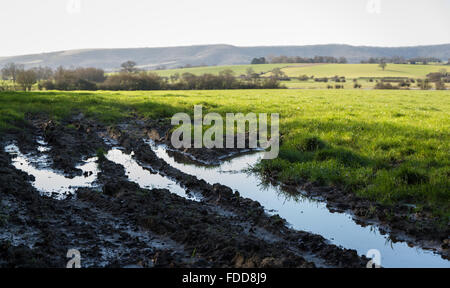 Flood water and mud in tyre tracks in a field on farmland with the south downs hills in the background. Stock Photo