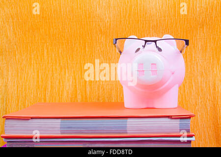 Book and Piggy Bank Saving Money Nobody Stock Photo