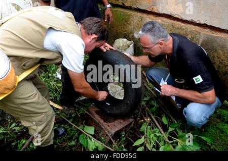 A member of the Brazilian health task force tests for signs of the aedes aegypti mosquito during control efforts to halt the outbreak of Zika virus January 29, 2016 in Candangolndia, Brasilia, Brazil. Stock Photo