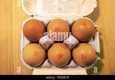6 Brown Eggs  Half a Dozen Brown Eggs Lion Stamp in Carton Stock Photo