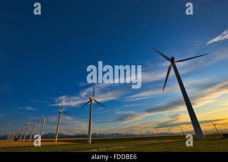 Wind farm in Southern Alberta, Canada Stock Photo