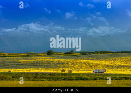 Alberta Foothills country Stock Photo