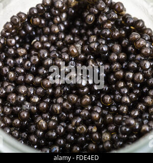 above view of black sturgeon caviar in glass jar close up Stock Photo