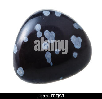 natural mineral gem stone - specimen of snowflake obsidian gemstone isolated on white background close up Stock Photo