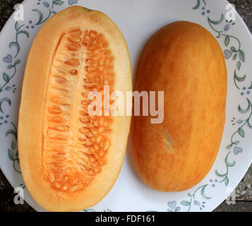 Snap melon, Cucumis melo var momordica, oval fruit consumed as cucumber when young, melon when ripe, splitting when mature Stock Photo