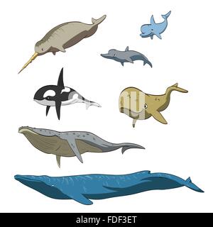 Set of vector illustration of cartoon whales and dolphins. Stock Vector
