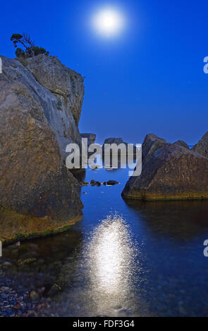 Moonlight night. Sea coast against the night sky. Stock Photo
