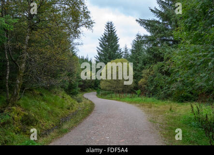 A path in the Great Glen / West Highland Way, Glen Nevis, Scotland, UK. Stock Photo