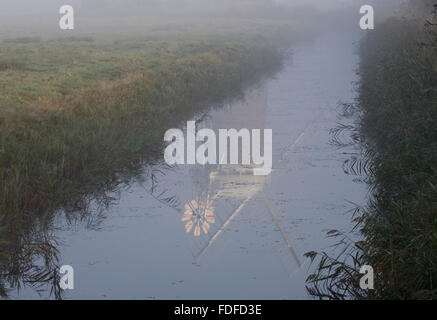Reflection of Horsey Mill in drainage ditch, with rising autumn mist, early morning, Norfolk Broads Stock Photo