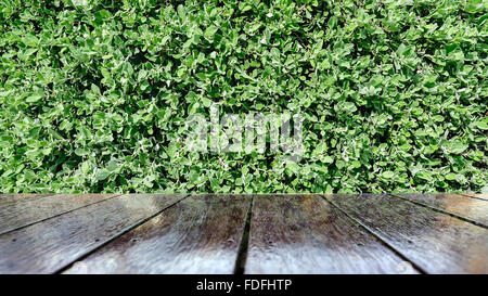 Wooden table texture and beautiful green leafs background. Stock Photo