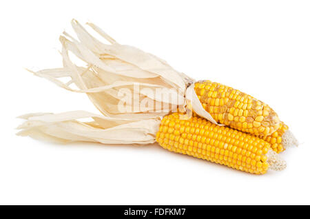 Stack of dried cob corn isolated on white background Stock Photo