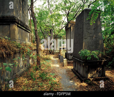 The cemetery of the Cultural Revolution The Red Guards cemetery Shaping Park Chongqing City China Stock Photo
