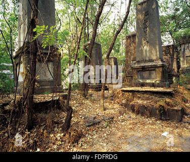 The cemetery of the Cultural Revolution The Red Guards cemetery Shaping Park Chongqing City China Stock Photo