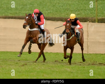 Victoria Pendleton, jockey, left, riding horse Pacha Du Polder Stock Photo