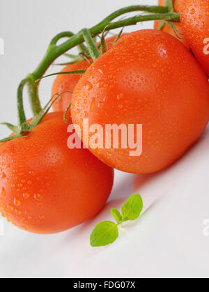 close up of washed tomatoes on white background Stock Photo