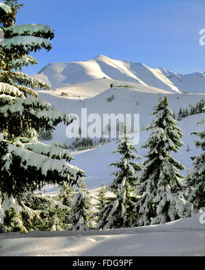 Mont Joly and Mont Joux in the French Alps above Saint Gervais and Megeve from the Mont Arbois. A winter ski resort in Haute Savoie. Stock Photo