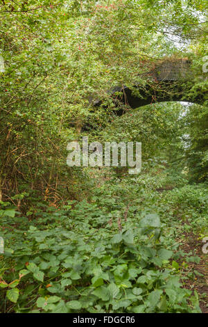 Overgrown disused railway line and bridge along the Scalford to Newark branch line UK Stock Photo