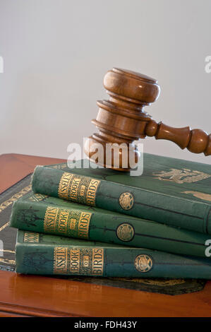 Auction old books gavel Concept image of auctioneers hammer on rare 1860's antiquarian collection of 'Cassells Book of Birds' in saleroom situation Stock Photo