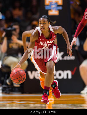 January 31, 2016: Karyla Middlebrook #22 of the Alabama Crimson Tide brings the ball up court during the NCAA basketball game between the University of Tennessee Lady Volunteers and the University of Alabama Crimson Tide at Thompson Boling Arena in Knoxville TN Tim Gangloff/CSM Stock Photo