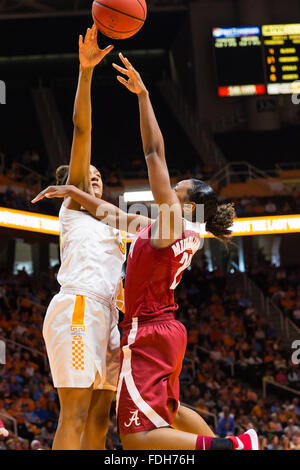 January 31, 2016: Andraya Carter #14 of the Tennessee Lady Volunteers blocks the shot of Karyla Middlebrook #22 of the Alabama Crimson Tide during the NCAA basketball game between the University of Tennessee Lady Volunteers and the University of Alabama Crimson Tide at Thompson Boling Arena in Knoxville TN Tim Gangloff/CSM Stock Photo