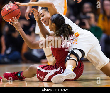 January 31, 2016: Andraya Carter #14 of the Tennessee Lady Volunteers and Karyla Middlebrook #22 of the Alabama Crimson Tide battle for a loose ball during the NCAA basketball game between the University of Tennessee Lady Volunteers and the University of Alabama Crimson Tide at Thompson Boling Arena in Knoxville TN Tim Gangloff/CSM Stock Photo