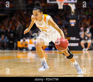January 31, 2016: Andraya Carter #14 of the Tennessee Lady Volunteers drives to the basket during the NCAA basketball game between the University of Tennessee Lady Volunteers and the University of Alabama Crimson Tide at Thompson Boling Arena in Knoxville TN Tim Gangloff/CSM Stock Photo