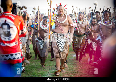 Ludzidzini, Swaziland, Africa -  King Mswati III, of Swaziland at the the annual  Umhlanga, or reed dance ceremony. Mswati III i Stock Photo