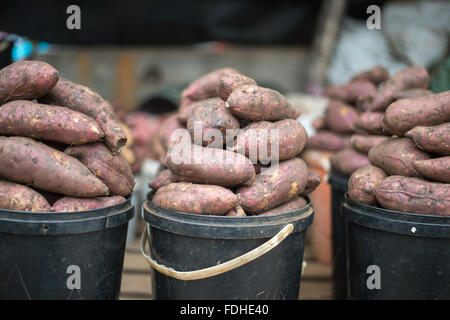 Yams for sale at the Manzini Wholesale Produce and Craft Market in Swaziland, Africa Stock Photo