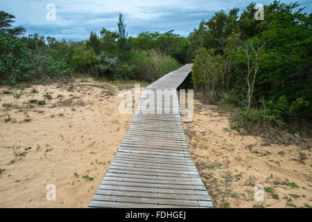 Wooden boardwalk leading from the beach into the woodlands in Saint Lucia, Kwazulu-Natal, South Africa - iSimangaliso Wetland Pa Stock Photo