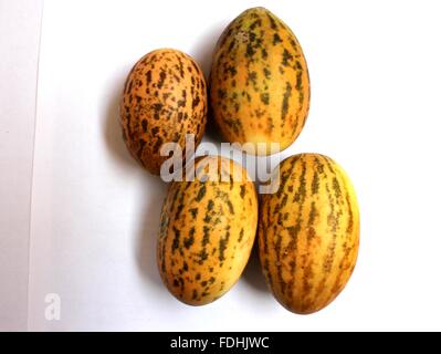 Wild melon, Cucumis melo var agrestis, small fruited melon with green skin with dark green patches, pale green flesh, pickle Stock Photo