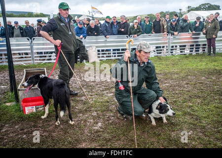 Shepherds and their sheepdogs (border collies) at the International Sheepdog Trials in Moffat, Scotland, UK. Stock Photo