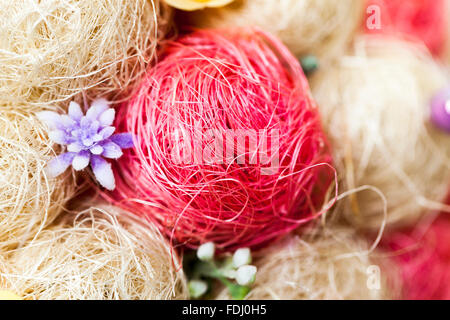 Tree of sisal Stock Photo