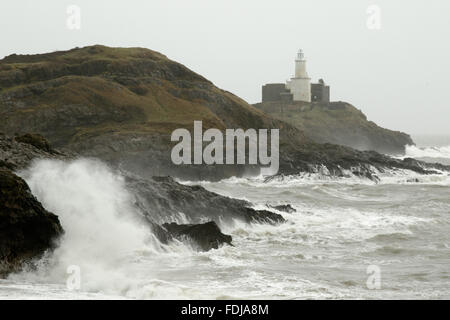 Swansea, Wales, UK. 1st February, 2016. Huge waves lash the coast near Swansea, overlooking Mumbles lighthouse, as Storm Henry hits. Credit: Andrew Bartlett/Alamy Live News. Stock Photo