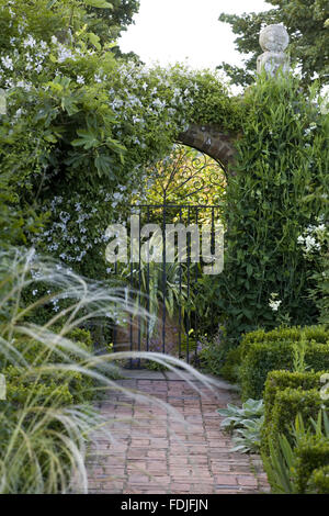 Clematis 'Alba Luxurians' over an arched gate in the White Garden, with Stipa barbata in the foreground at Sissinghurst Castle Garden, near Cranbrook, Kent. Stock Photo