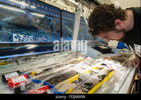 Bremen, Germany. 01st Feb, 2016. Marine scientist John Williams examines a drill core sample from the bottom of the Atlantic Ocean in a laboratory of the MARUM of the University of Bremen in Bremen, Germany, 01 February 2016. The sample was retrieved from the Mid-Atlantic Ridge during an international expedition of scientists. Photo: Ingo Wagner/dpa/Alamy Live News Stock Photo