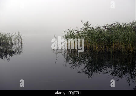 Misty view across Lough Erne at Crom, Co. Fermanagh, Northern Ireland ...