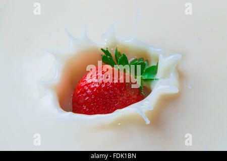 Strawberry splashing into cream Stock Photo