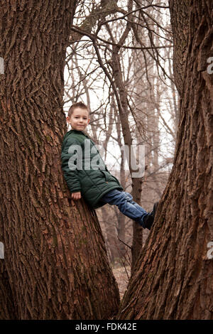 Boy climbing a tree Stock Photo