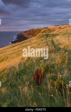 View along the cliff-top on the Whitehaven Coast, Cumbria. The National Trust is now managing the first section of this area on the west coast of Cumbria, from Whitehaven Harbour to the Haig Mining Museum. Stock Photo