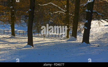 The parkland at Hardwick Hall, Derbyshire, in the snow. Stock Photo