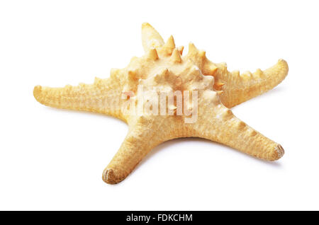 Yellow starfish isolated on white background Stock Photo
