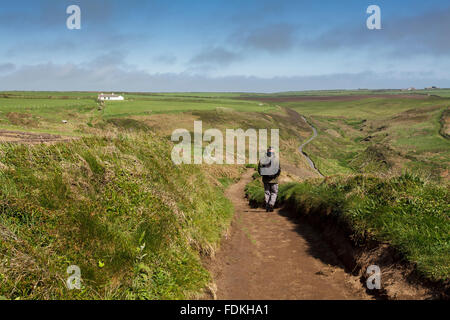 Pembrokeshire coastal path with walker on a sunny day. Stock Photo