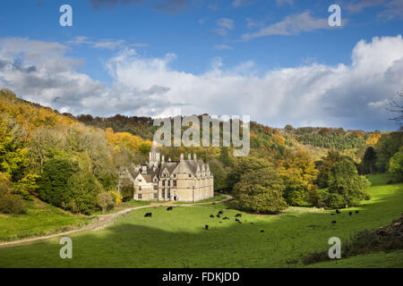 Woodchester Mansion (not National Trust), at Woodchester Park, Gloucestershire. Stock Photo